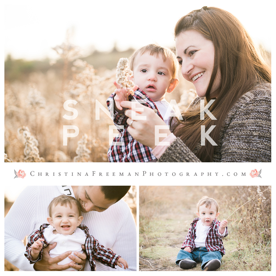 Glenview Northbrook Family Photography Session Sneak Peek