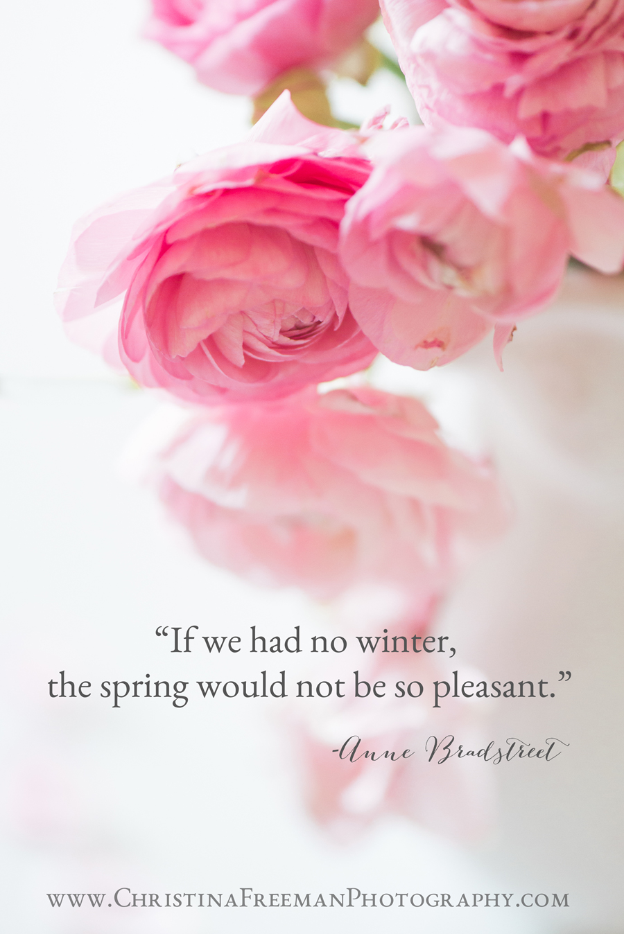Happy Spring from Christina Freeman Photography