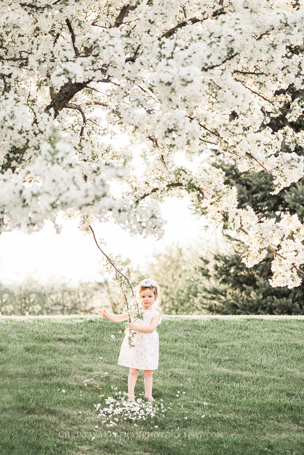 Lemonade and Lenses October 2016 Honorable Mention | Collin County McKinney Princeton Plano Frisco Allen Little Elm TX Child and Family Photographer