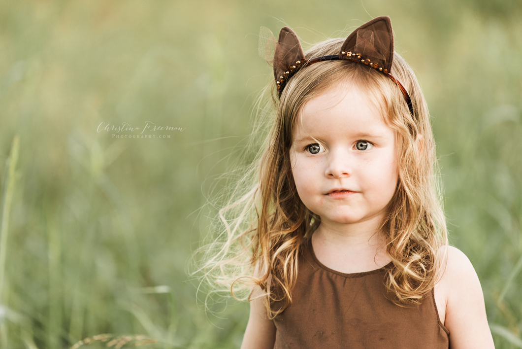A Sweet Little Kitty | Collin County Photographer McKinney TX Photographer Princeton TX Photographer